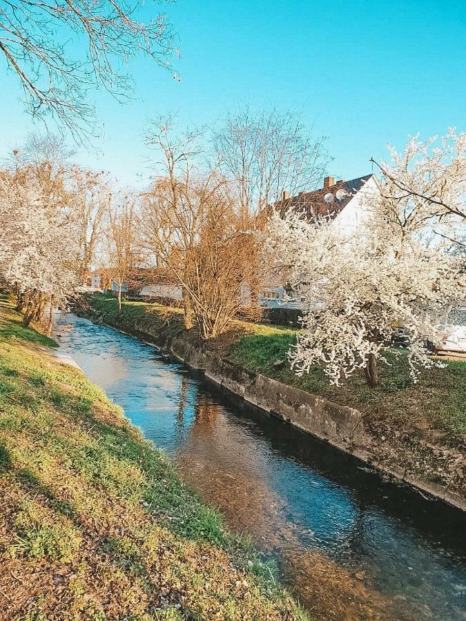 Апартаменты Creek House